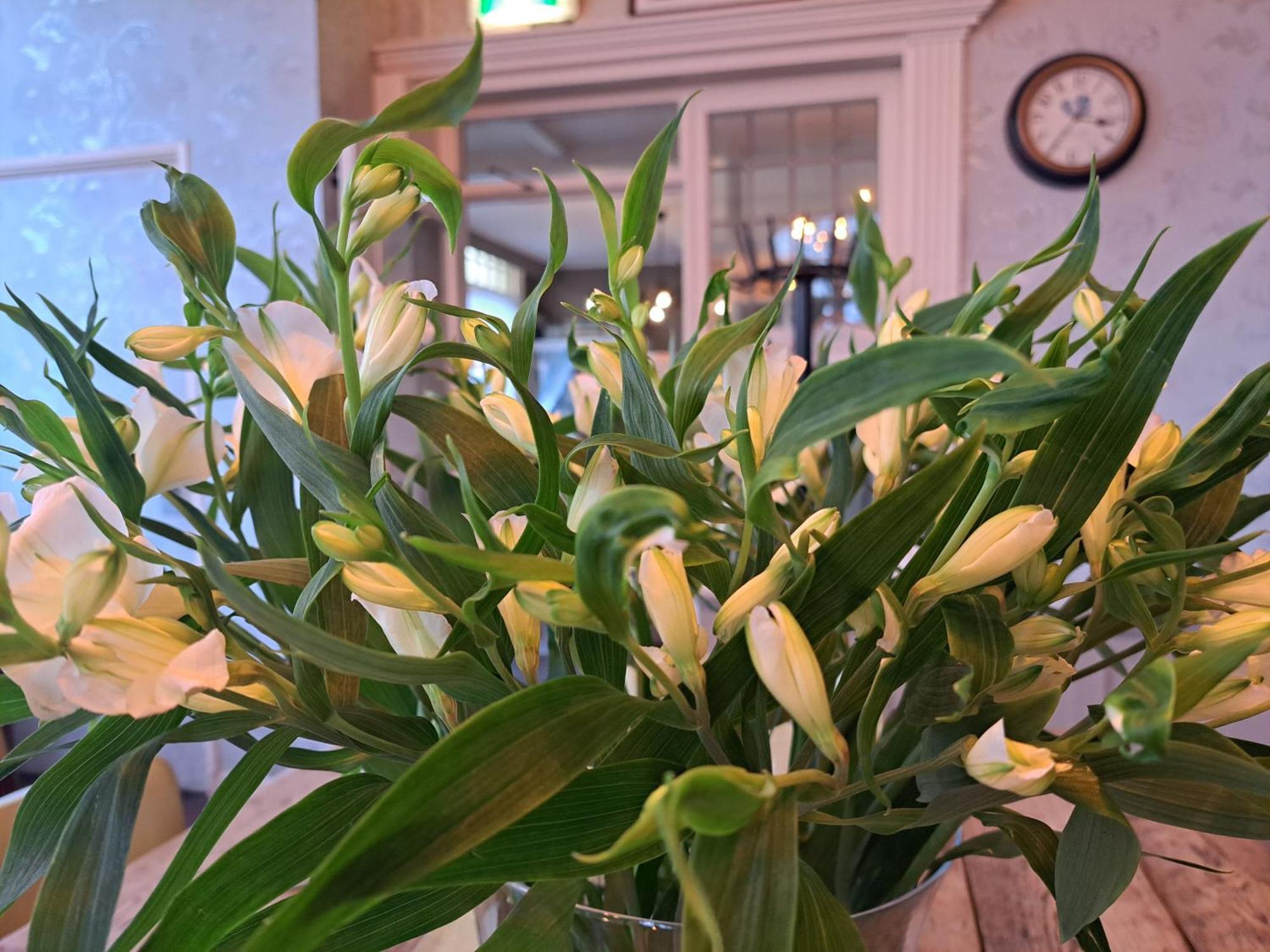 Hotel Restaurant Boven Groningen Delfzijl Eksteriør bilde